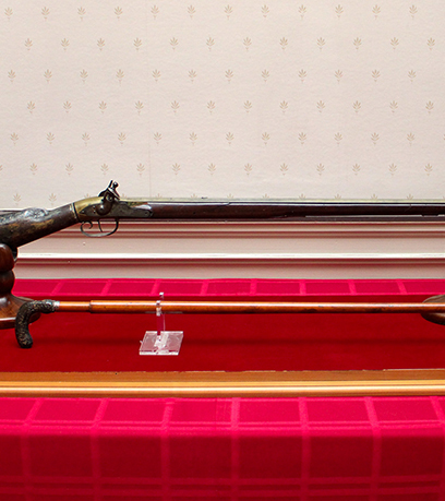 एक एयरगन